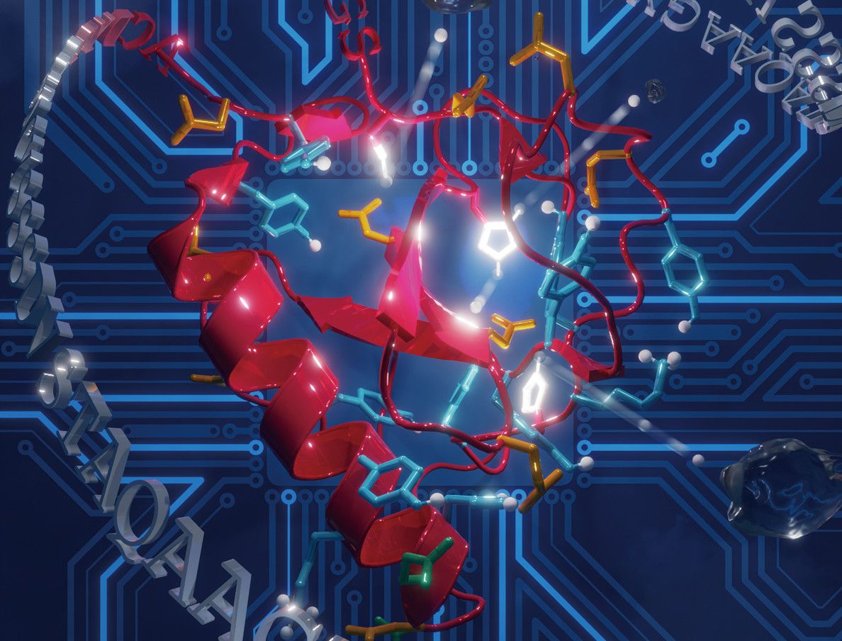 Shijie Xu - Bioinformatics & Deep Learning Researcher